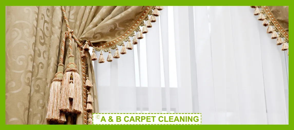 Professional rug cleaning in action